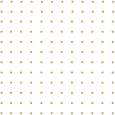 demo-lawyer-home-dotted-pattern